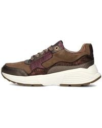 Xsensible - Schoenen ,Bruin ,Leer Golden Gate Lady Sneakers Bruin Leer - Lyst