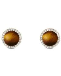 Daniel Wellington - Earrings - Lyst