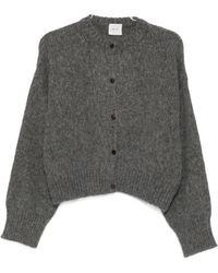 Alysi - Truien & Vesten ,Grijs ,Nylon Zijde & Nylon Grijze Trui - Lyst