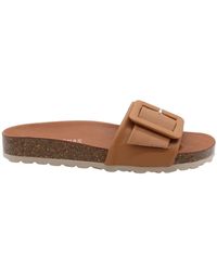 Verbenas - Sunset Slider - Lyst