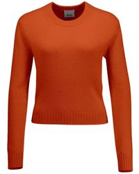 Allude - Truien & Vesten ,Oranje ,Kasjmier Cashmere Trui - Lyst