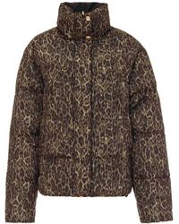 Roberto Cavalli - Jassen - Lyst
