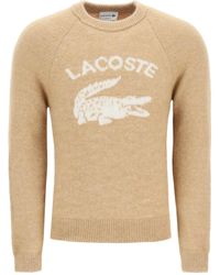 Lacoste Crew neck sweaters for Men | Online Sale up to 50% off | Lyst