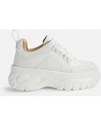 missguided platform trainers