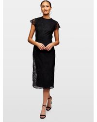 miss selfridge dresses new in