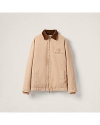 Miu Miu - Embroidered Garment-dyed Gabardine Blouson Jacket - Lyst
