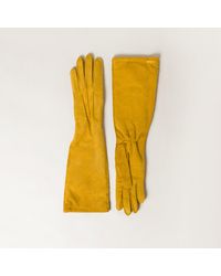 Miu Miu - Suede Gloves - Lyst