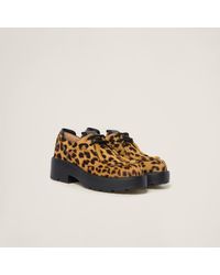 Miu Miu - Leopard-print Calf Hair Leather Lace-up Shoes - Lyst