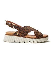 Moda In Pelle - Nellin Leopard Suede - Lyst