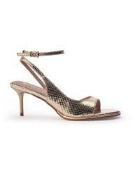Moda In Pelle - Manella Snake Print - Lyst