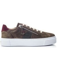 Shoon - Sh Ely Khaki Suede - Lyst