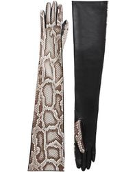 KHAITE - Remo Python Long Gloves - Lyst