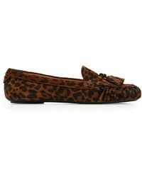 Gianvito Rossi - Théa Leopard Suede Loafers - Lyst