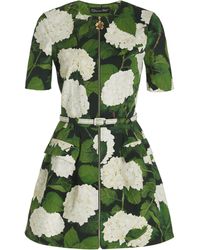 Oscar de la Renta Hydrangea Cotton-twill Dress - Green