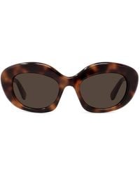 Loewe - Curvy Cat-eye Acetate Sunglasses - Lyst