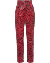 Dolce & Gabbana Coated Leopard-print Stretch High-rise Skinny Jeans - Red