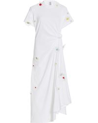 coast rosie shirt dress