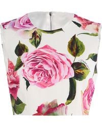 Dolce & Gabbana - Rose-print Cotton-blend Crop Top - Lyst