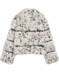Apparis - Sai Leopard Faux Fur Cropped Coat - Lyst