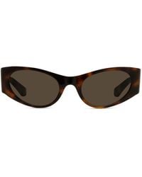 Loewe - Signature Cat-eye Acetate Sunglasses - Lyst