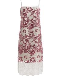 Costarellos - Biona Sequined Lace Midi Cami Dress - Lyst