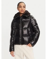 Save The Duck - Winterjacke D30974W Luck19 Regular Fit - Lyst