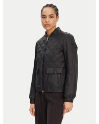 Geox - Bomberjacke Amabel W5520F T3132 F9000 Regular Fit - Lyst
