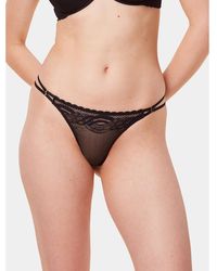Triumph - Stringtanga Hypnotic Spotlight String 10215981 - Lyst
