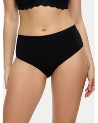 Triumph - Klassischer Damenslip Mit Hoher Taille Sense Of Modal 10224787 - Lyst