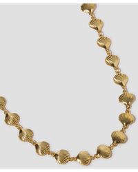 Monsoon - Scallop Shell Necklace - Lyst