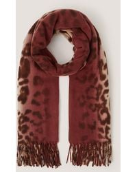 Monsoon - Archi Animal Print Tassel Scarf Natural - Lyst