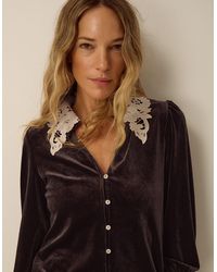 Monsoon - Leith Lace Collar Velvet Shirt Brown - Lyst