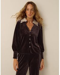 Monsoon - Leith Lace Collar Velvet Shirt Brown - Lyst