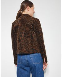 Monsoon - Aida Leopard Print Crop Jacket Brown - Lyst