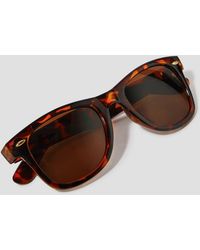 Monsoon - Wayfarer Sunglasses Brown - Lyst