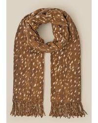 Monsoon - Bea Bambi Print Scarf - Lyst