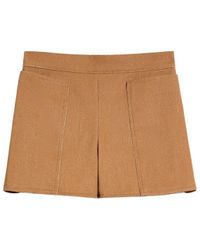 Max Mara - Cotton Mini Shorts - Lyst