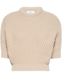 Sportmax - Cotton Blend Sweater With Sunburst Pattern - Lyst