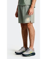MONTIREX - Frequency Short - Lyst