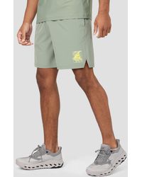 MONTIREX - Frequency Short - Lyst