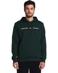 the north face bearitage hoodie