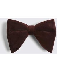 Moss - Burgundy Oversized Velvet Pre-Tied Bow Tie - Lyst