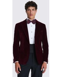 Moss - Slim Fit Burgundy Velvet Jacket - Lyst