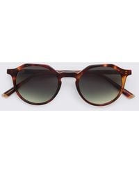 Taylor Morris - Tortoise Oxford Sunglasses - Lyst
