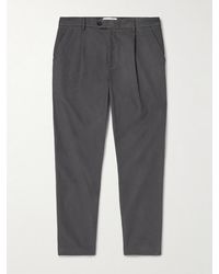 MR P. - Daniel Tapered Pleated Organic Cotton-Blend Moleskin Trousers - Lyst