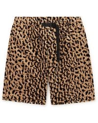 Wacko Maria Belted Leopard-print Cotton-velour Shorts - Brown