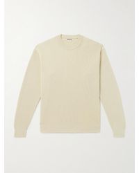 AURALEE - Ribbed Cotton Sweater - Lyst