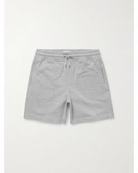 MR P. - Straight-Leg Organic Cotton-Jersey Drawstring Shorts - Lyst