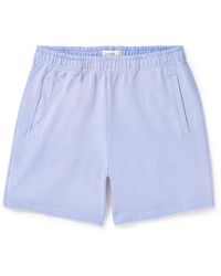 Saturdays NYC - Austin Sunbaked Straight-leg Cotton-jersey Shorts - Lyst