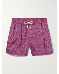 Rubinacci - Straight-leg Mid-length Printed Shell Swim Shorts - Lyst